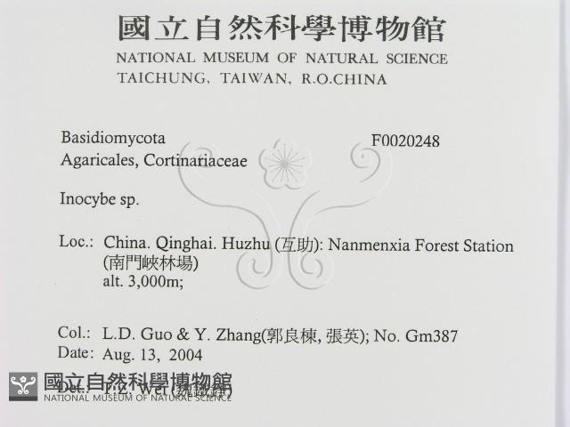 登錄號:F0020248藏品圖，第2張