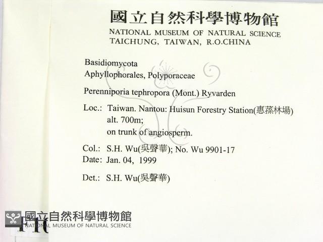 登錄號:F0010248藏品圖，第2張