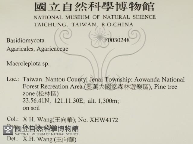 登錄號:F0030248藏品圖，第2張