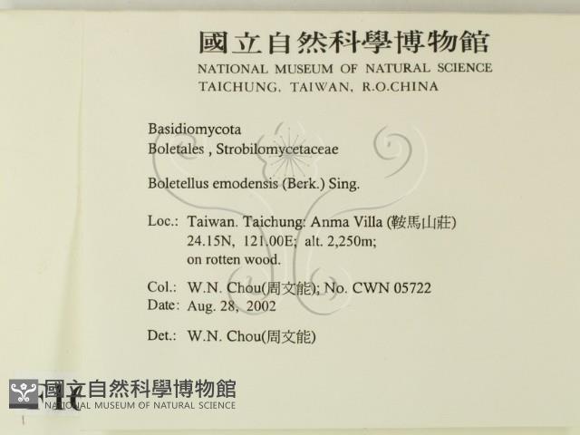 登錄號:F0016248藏品圖，第2張
