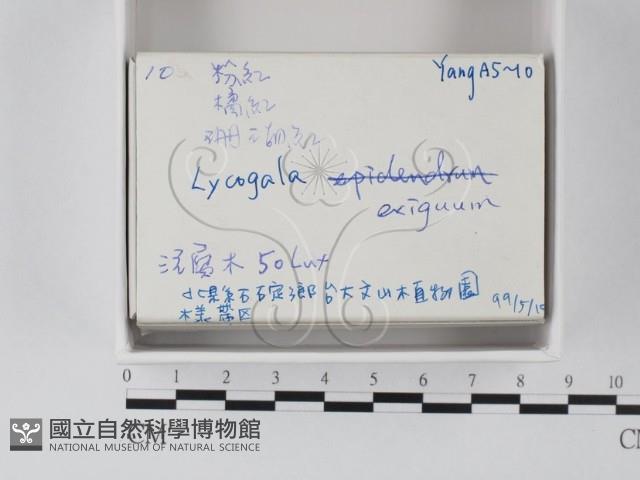 登錄號:F0021248藏品圖，第2張