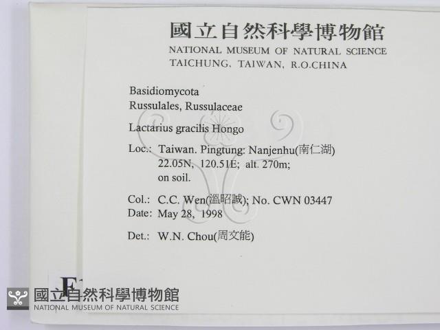 登錄號:F0011248藏品圖，第2張