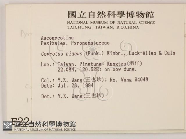 登錄號:F0002248藏品圖，第2張