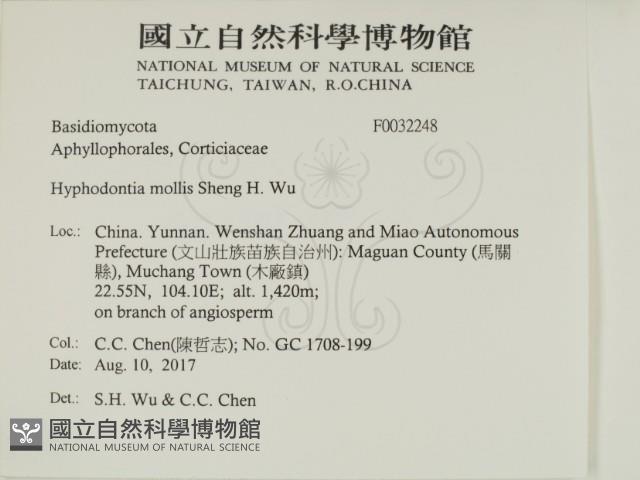 登錄號:F0032248藏品圖，第2張