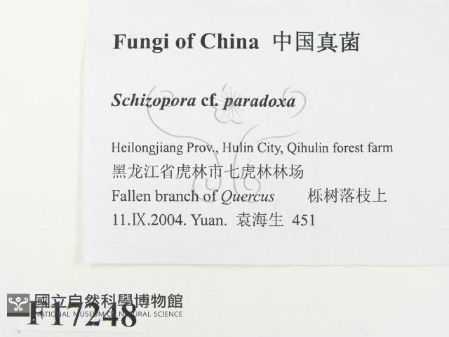 登錄號:F0017248藏品圖，第2張