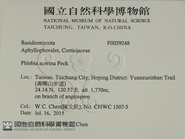 登錄號:F0029248藏品圖，第2張