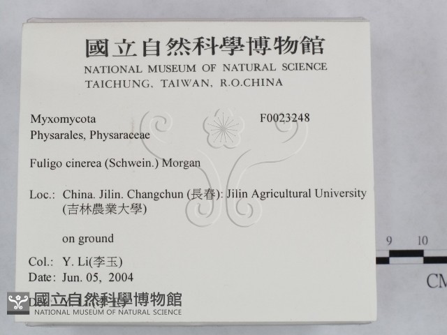 登錄號:F0023248藏品圖，第2張