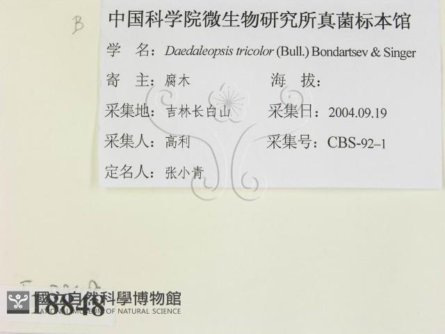 登錄號:F0018848藏品圖，第2張