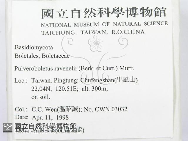 登錄號:F0010848藏品圖，第2張