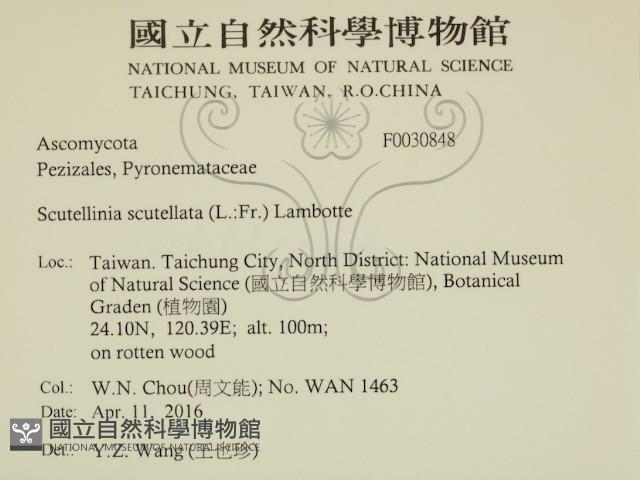 登錄號:F0030848藏品圖，第2張