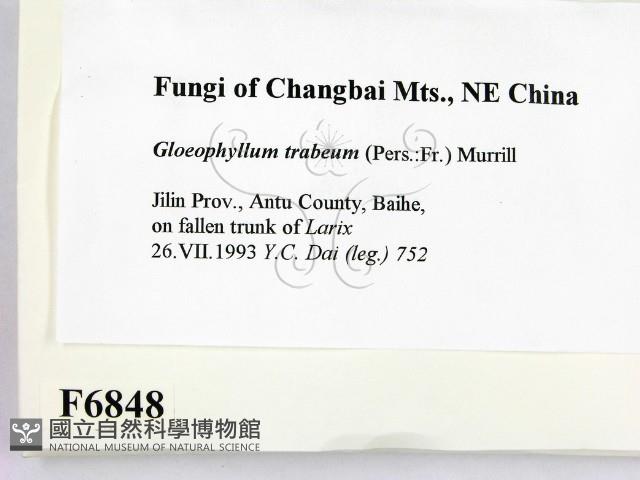 登錄號:F0006848藏品圖，第2張