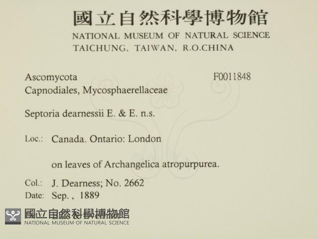 登錄號:F0011848藏品圖，第2張