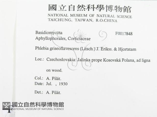 登錄號:F0017848藏品圖，第2張