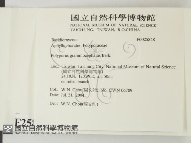 登錄號:F0025848藏品圖，第2張