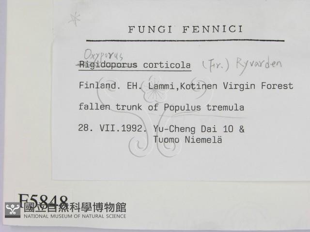 登錄號:F0005848藏品圖，第2張