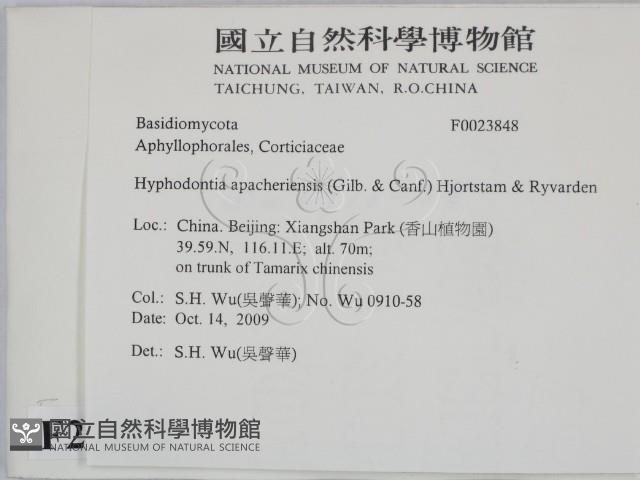 登錄號:F0023848藏品圖，第2張