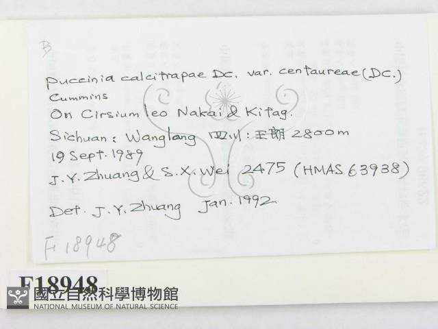 登錄號:F0018948藏品圖，第2張