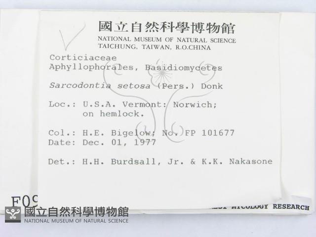 登錄號:F0000948藏品圖，第2張