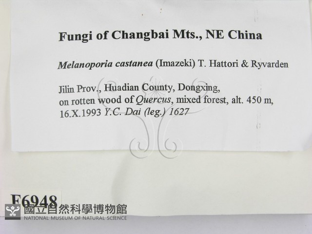 登錄號:F0006948藏品圖，第2張