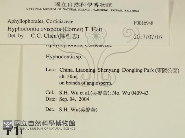 登錄號:F0016948藏品圖，第2張