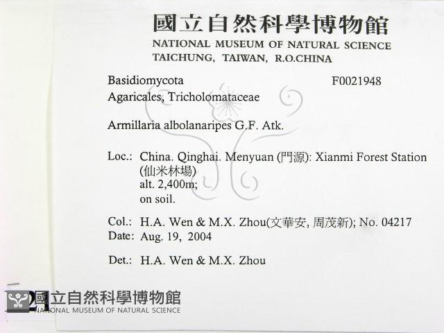 登錄號:F0021948藏品圖，第2張