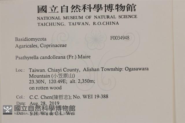 登錄號:F0034948藏品圖，第2張