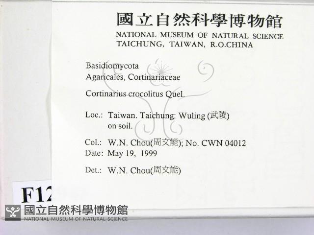 登錄號:F0012948藏品圖，第2張