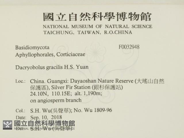 登錄號:F0032948藏品圖，第2張