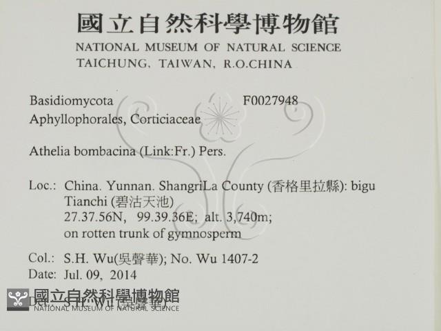 登錄號:F0027948藏品圖，第2張