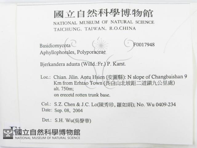 煙管菌藏品圖，第2張
