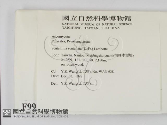 登錄號:F0009948藏品圖，第2張