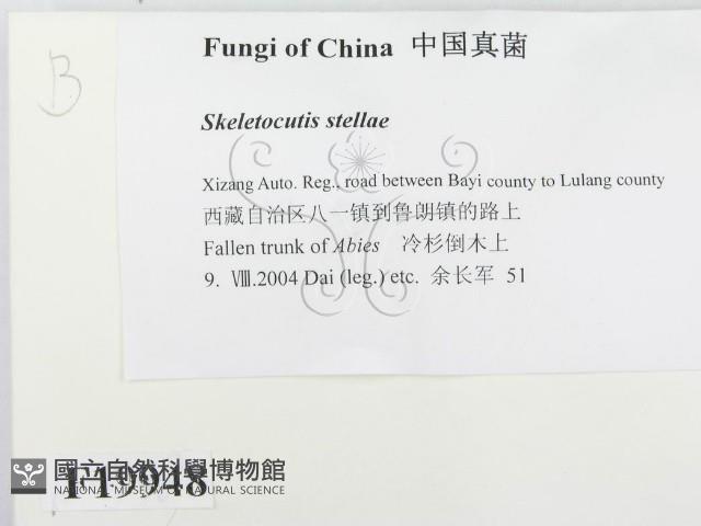 登錄號:F0019948藏品圖，第2張