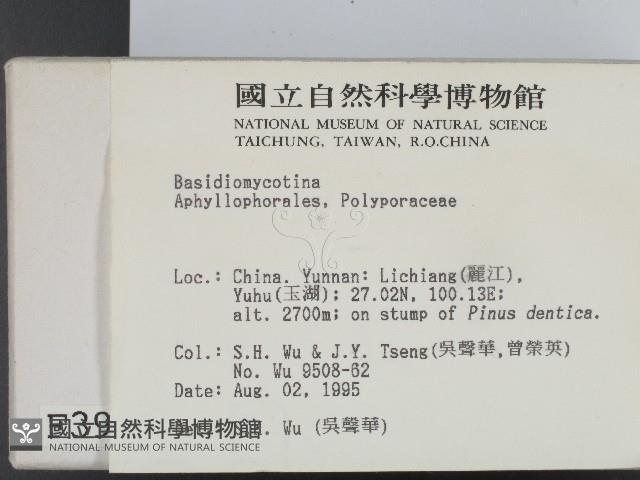 登錄號:F0003948藏品圖，第2張