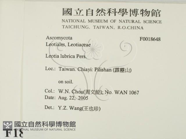 登錄號:F0018648藏品圖，第2張