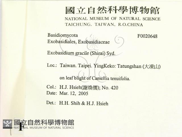 登錄號:F0020648藏品圖，第2張