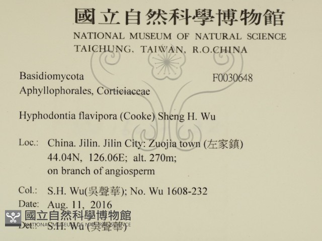 登錄號:F0030648藏品圖，第2張