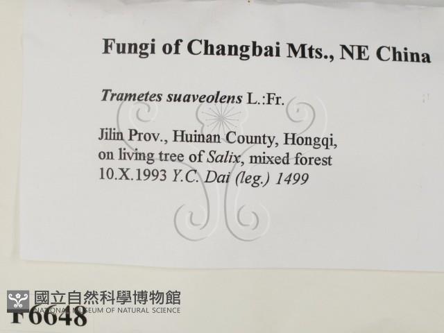 登錄號:F0006648藏品圖，第2張