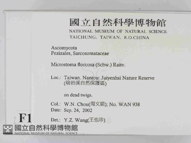 登錄號:F0014648藏品圖，第2張