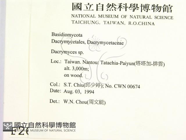 花耳屬藏品圖，第2張