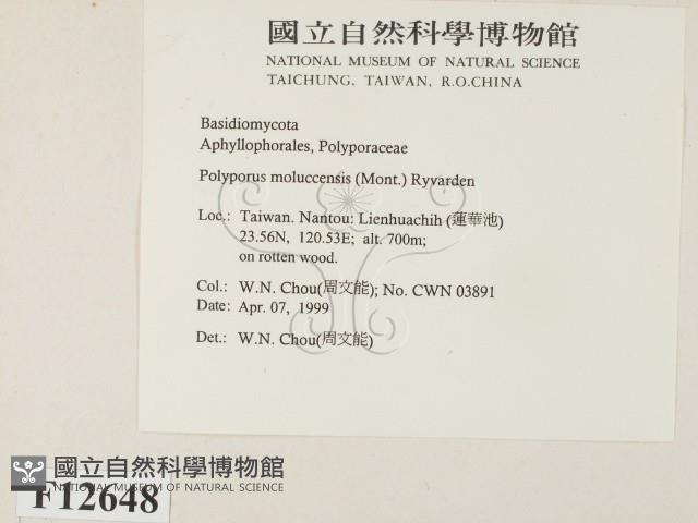 登錄號:F0012648藏品圖，第2張