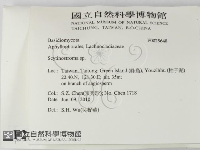 登錄號:F0025648藏品圖，第2張