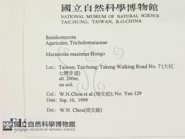 登錄號:F0015648藏品圖，第2張
