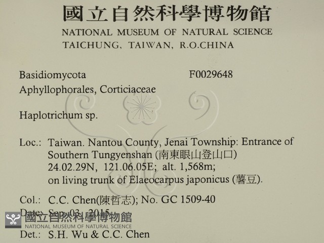 登錄號:F0029648藏品圖，第2張