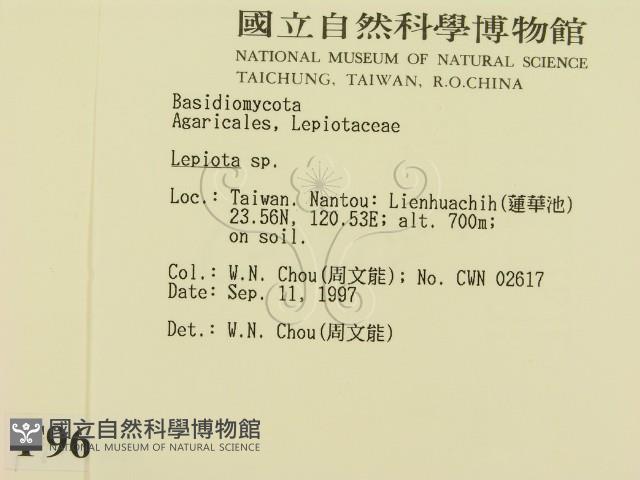 登錄號:F0009648藏品圖，第2張