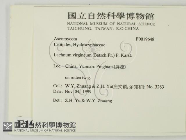 登錄號:F0019648藏品圖，第2張