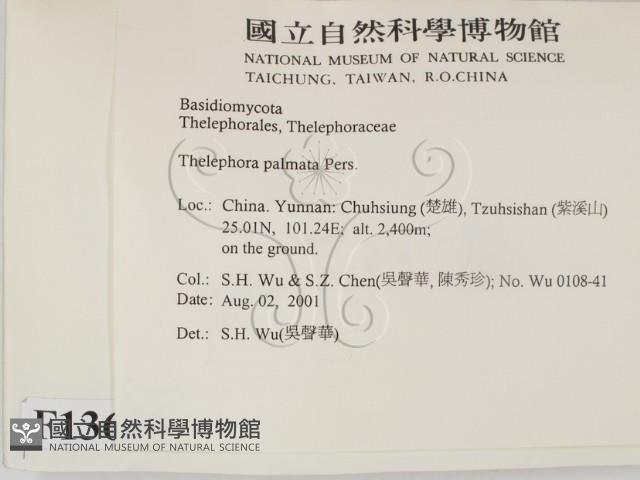登錄號:F0013648藏品圖，第2張