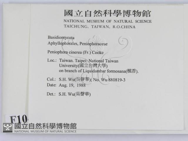 登錄號:F0010448藏品圖，第2張