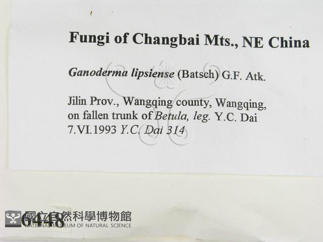 登錄號:F0006448藏品圖，第2張