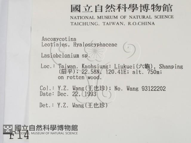 登錄號:F0001448藏品圖，第2張