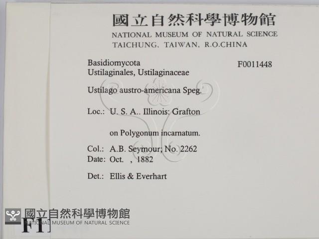 登錄號:F0011448藏品圖，第2張